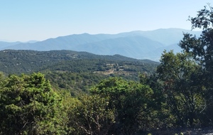 6526631914e78_4.jpg