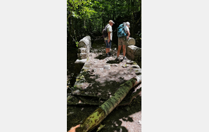 6a4775160cabc_1000041980.jpg